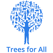 trees for all teambuilding Walsall